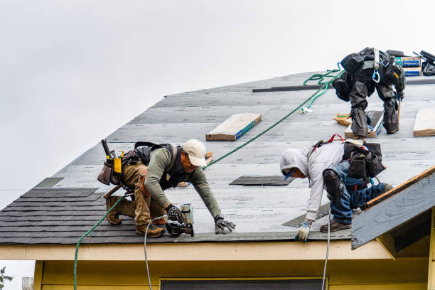 Professional Roofing technician working in Gerton, NC